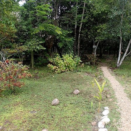 Yaxche Jungle Camp Hotel Good Living Camp Habitación foto